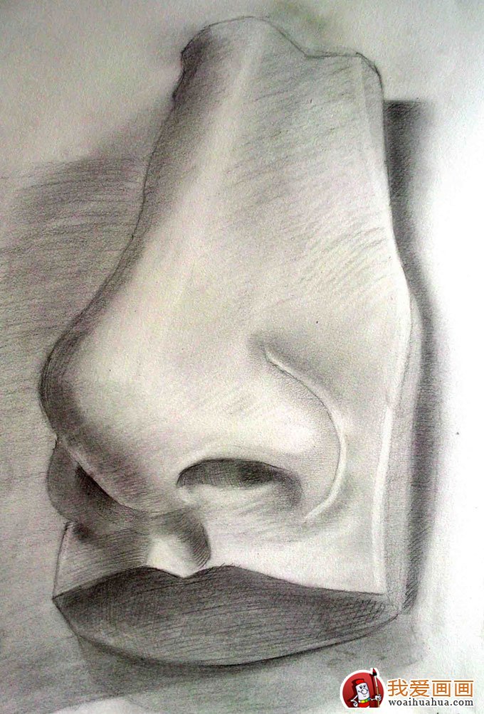 石膏像鼻子的素描画图片:各种鼻子素描