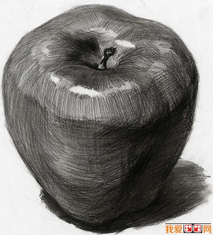 单个水果素描静物:5个不同角度的素描苹果图片
