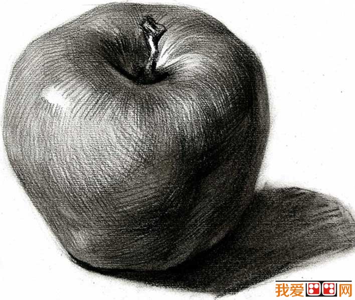单个水果素描静物:5个不同角度的素描苹果图片