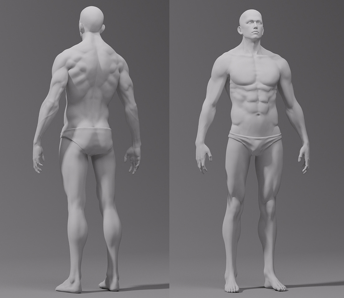 完美男人体结构 CG素描绘画参考人体图片