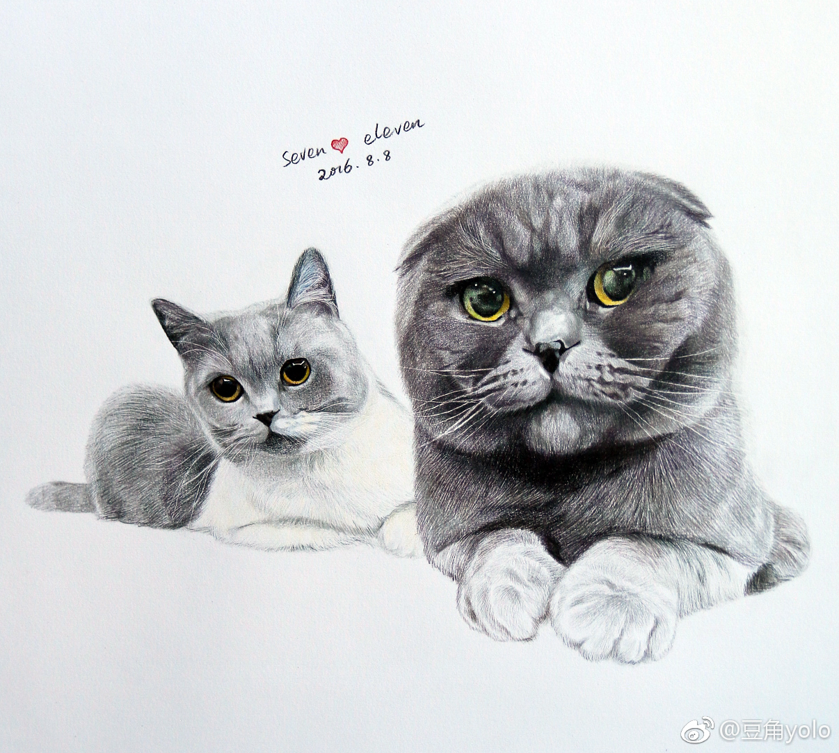 两只可爱猫咪的铅笔素描画 非常细腻真实