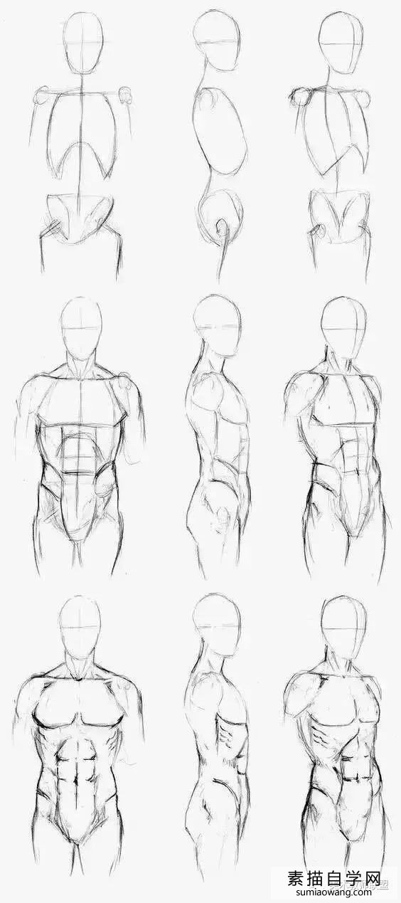 男女人体动态结构比例图 学素描速写临摹图