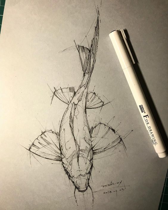 一条鱼针管笔手绘 用小条画鱼的图片