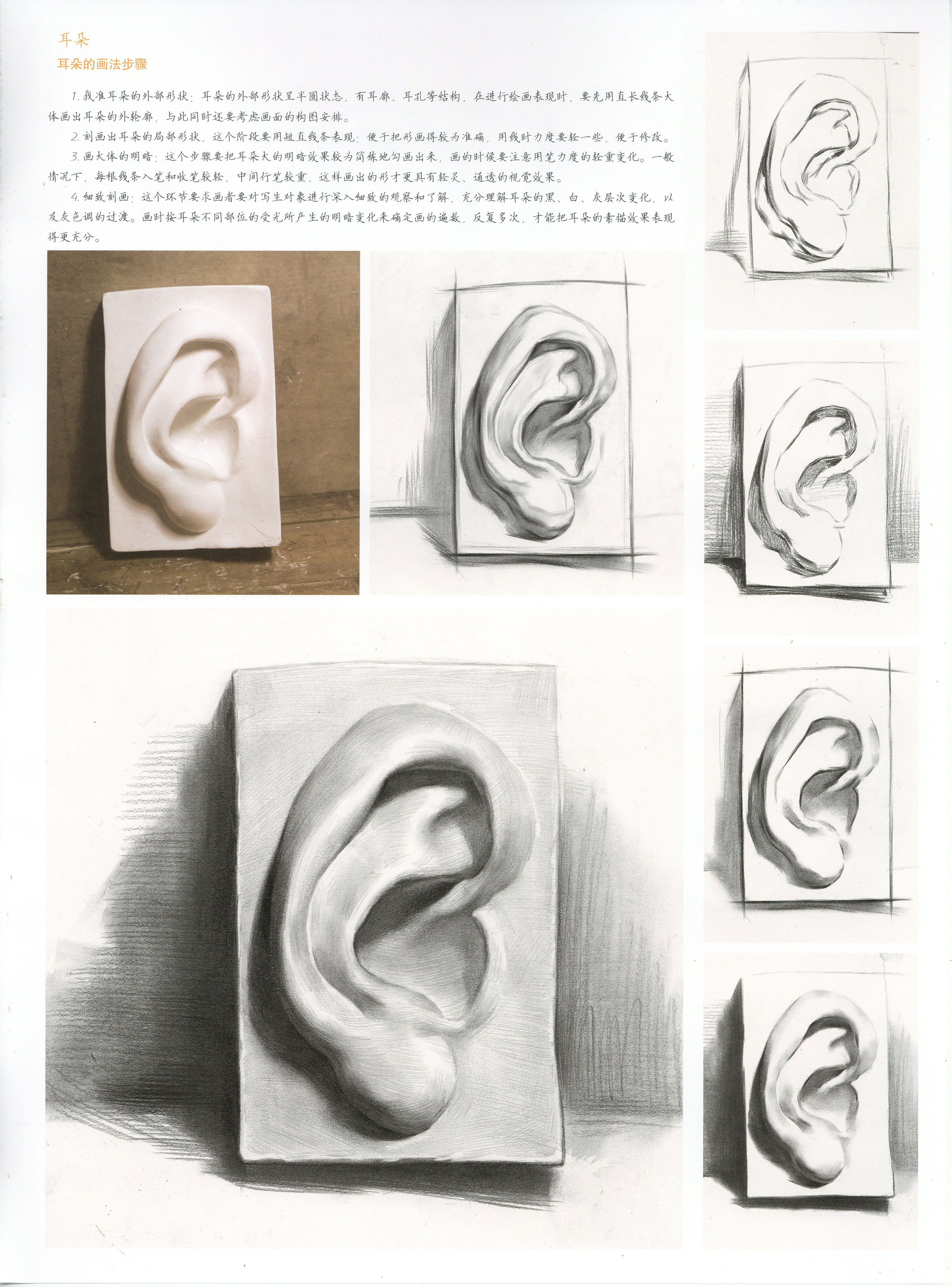 石膏耳朵素描图片大全 结构明暗画法步骤教程