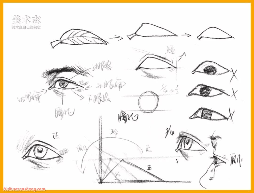 局部速写眼睛的绘画技巧解析